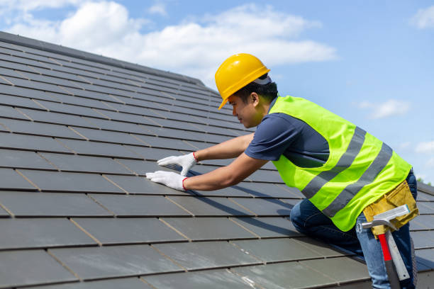 Best Roof Gutter Cleaning  in Clinton, AR