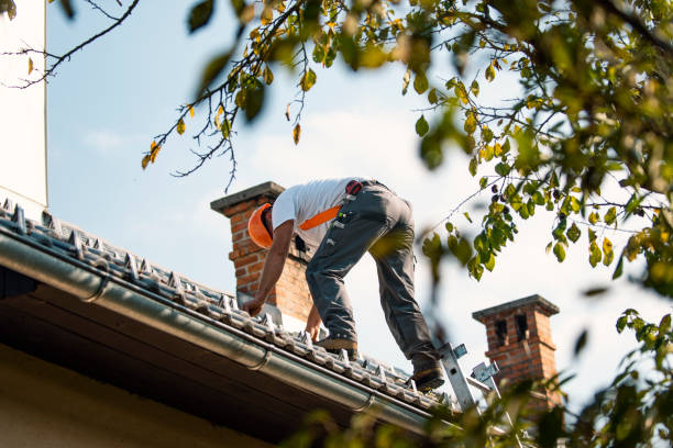 Best Commercial Roofing Services  in Clinton, AR